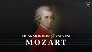 Filarmoninin Şövalyesi: MOZART | Belgeseller | B03