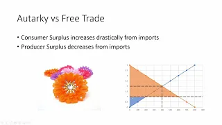 Autarky vs Free Trade