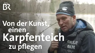 Teichwirtschaft im Winter: Fischzucht mit Karpfen, Forellen & Zander | Unter unserem Himmel | BR