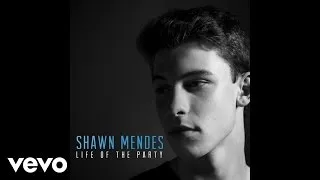Shawn Mendes - Life Of The Party (Official Audio)