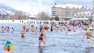 Now You KNow! about the 2018 Polar Bear Dip