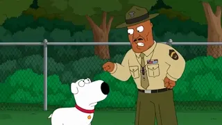 Family Guy - Brian Goes to Obedience School