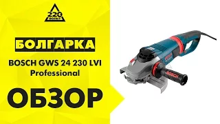 УШМ болгарка BOSCH GWS 24 230 LVI Professional