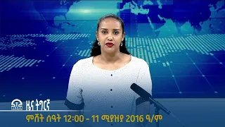 #ቴሌቪዥን_ትግራይ | ዜና ትግርኛ ምሸት ሰዓት 12፡00 - 11 ሚያዝያ 2016 ዓ/ም | Watch Live Streaming |