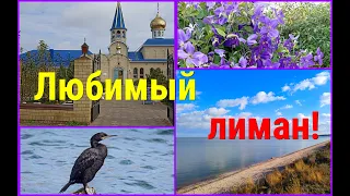 Отдых в Ейске/Любимый ЛИМАН/Жара на ЮГЕ!