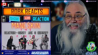 Rocking Out with Måneskin! Reaction - HONEY (Are U Coming?) on THE FIRST TAKE | Requested Reaction