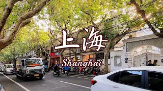 20211206 【台湾小姐姐的上海生活Shanghai Vlog】上海白领日常 l 气氛沉稳的PPT咖啡馆 l 夜晚的永康路漫步（上）