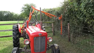 Hedge cutting with a 1961 Massey Ferguson 35 @shaking701