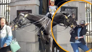 Tourists PROVOKED The WRONG Horse.!! THE BITING "ORMONDE"