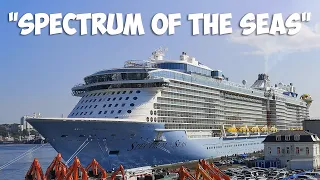 Spectrum of the Seas /Владивосток/ 2019