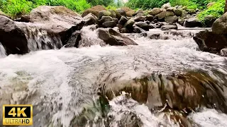 Nature sounds babbling brook, Nature River Sounds Flowing, Deep Sleep