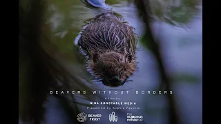 🎞 BEAVERS WITHOUT BORDERS - OFFICIAL TEASER 🎞