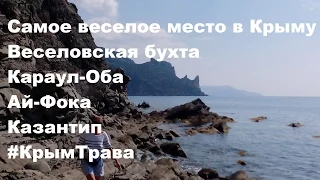 ВОСТОЧНЫЙ КРЫМ / ВЕСЕЛОВСКАЯ БУХТА / ПОСЕЛОК ВЕСЕЛОЕ / САМОСТОЯТЕЛЬНЫЕ ПУТЕШЕСТВИЯ