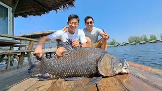 Father & Son Mekong Catfish & Siamese Carp Fishing Thailand  2024- BKKGUY