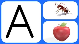 ABCD | Alphabet Song | ABCD Song | Cartoon Video | ABCD Poem | A to Z | A B C D