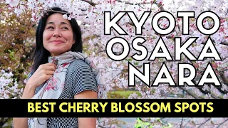 Top 10 CHERRY BLOSSOM SPOTS of KYOTO, OSAKA, NARA | SAKURA IN JAPAN