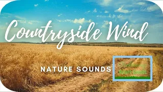 🏕️ Countryside Recording Strong Blowing Wind Sounds for Deep Sleep, Study | Relaxing Nature Sounds
