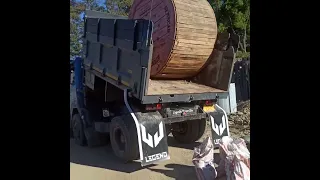 dumping Big cargo 😂