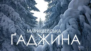 Похід до Шпиць через Маришевську та Ґаджину. Хуртовина. Ночівля в колибі. Обхід с.Бистрець