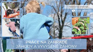 PRÁCE NA ZAHRADĚ 👩🏻‍🌾 Jahody a vyvýšené záhony 🍓 Řípská pouť 🎠 | VLOG #11