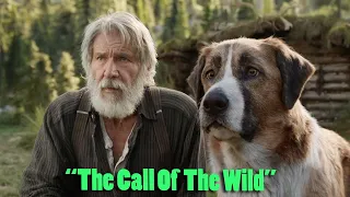 The Call Of The Wild (2020) Film Explained in Hindi/Urdu | Call Of The Wild Summarized हिंदी