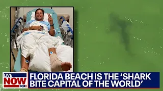 Florida's 'shark bite capital of the world' sees three attacks in one month | LiveNOW from FOX