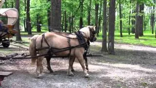 Blennerhassett Island opening day