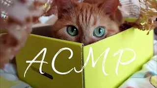 😴 АСМР/ASMR ТЫ ТОЧНО УСНËШЬ! Распаковка посылки Золотое Яблоко  🍎