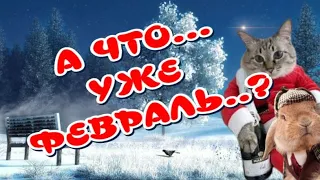 ✨ А ВОТ И ФЕВРАЛЬ🥰Последний месяц Зимы ✔Скоро ВЕСНА 🌷Чудесные стихи ✔Музыкальная открытка