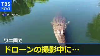 【衝撃映像】巨大ワニがドローンをガブリ水中へ カメラに残っていたのは・・・