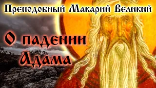 О ПАДЕНИИ АДАМА ☦️ Преподобный Макарий Великий. Духовные беседы, Часть 12, 1