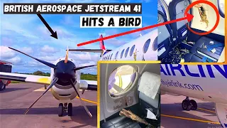 British Aerospace Jetstream 41 hits a bird | Johannesburg Tambo International Airport | Venetia Mine