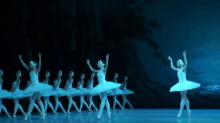 3 big Swans from Ballet "The Swan Lake" Act.2, Borchenko,Lebedev,  Mikhailovsky Theater