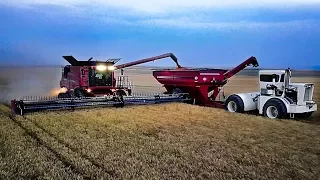 Epic Harvesting Montana Style - Part 1 - Wanken Harvest - Welker Farms Inc