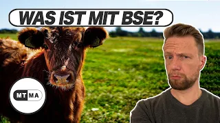 Was wurde eigentlich aus BSE?