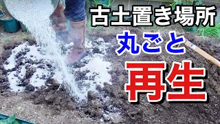 古土を一気に再生させる方法　【園芸超人カーメン君】【土壌改良】