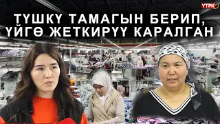 2500 ЖАРАНДЫ ЖУМУШ МЕНЕН КАМСЫЗ КАМСЫЗДАЙ АЛГАН ТИГҮҮЧҮ ЦЕХ