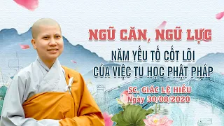 Ngũ căn, ngũ lực - Năm yếu tố cốt lõi của việc tu học Phật pháp - SC. Giác Lệ Hiếu