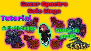 Best Place To hunt for Mage - Gazer Scpectre  2.5+kk/h expa 500+k/h profit - Poradnik Tibia 2021