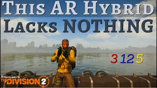The Most COMPLETE Hybrid AR Build in the Game - No Weakness AT ALL - The Division 2 ODZ Build Video