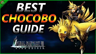 BEST Chocobo Farm Guide ~ Final Fantasy 7 Ever Crisis