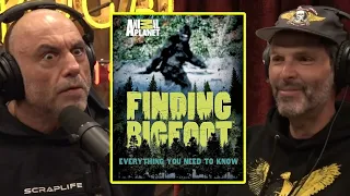 The Ridiculousness Of The TV Show "Finding Bigfoot" | Joe Rogan & Greg Overton