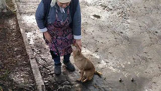 She Ran After Me, Crying And Begging for Help After Being Evicted From Her Own House