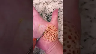 This video makes you feel trypophobia 🐝😩 #sfx #sfx_makeup #youtubeshorts #makeup #shorts