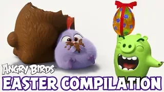 Angry Birds | Easter Compilation