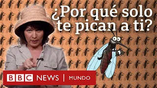 Por qué los mosquitos SIEMPRE te pican a ti (y no a los demás)