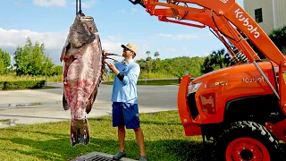 How to Clean and Cook a 300lb Grouper