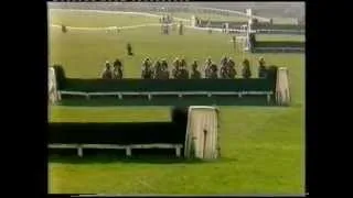 1986 Whitbread Gold Cup Handicap Chase