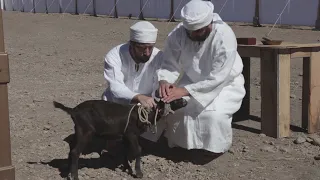 Красивая еврейская песня на Йом Киппур