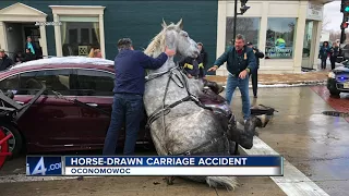 Horse-drawn carriage collides with two cars in Oconomowoc